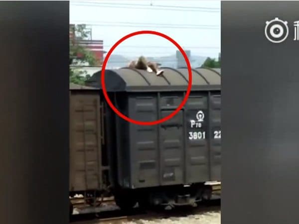 重慶男爬火車頂拍「抖音」碰觸高壓纜燒死