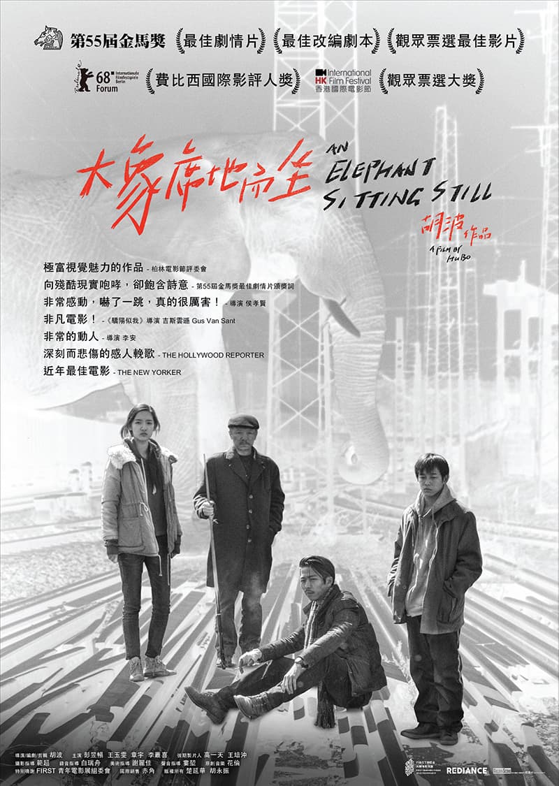 胡波,大象席地而坐