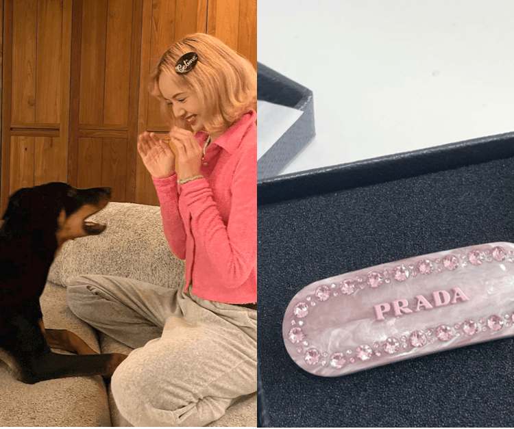 Lisa同款Celine復古髮夾！5款名牌髮夾推介 時尚造型小單品