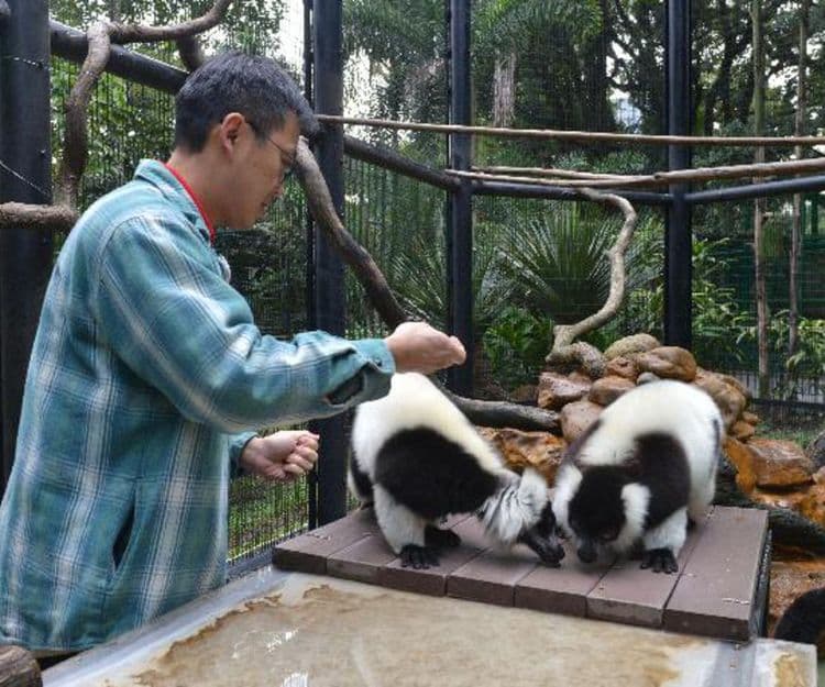 親子好去處｜香港動植物公園免費導賞活動「動物護理聚談」 近距離認識動物、飼養員分享日常照顧動物心得